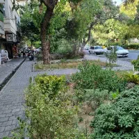 پاسداران شهید عراقی 215متر کلنگی