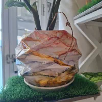 گلدان سفالی|گل و گیاه طبیعی|خمینی‌شهر, |دیوار