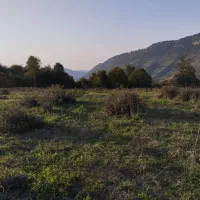 زمین کشاورزی5هکتار|فروش دفتر صنعتی، کشاورزی، تجاری|فریم, |دیوار