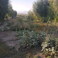 فروش زمین مسکونی