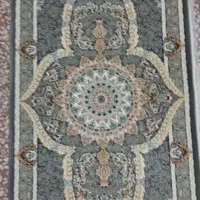 کارینا دودی|پشتی|قم, نیروگاه|دیوار