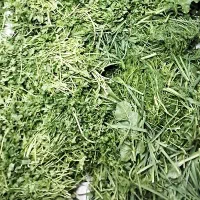 سبزی خورشتی آماده
