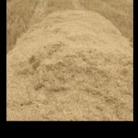 فروش کاه عمده
