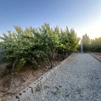 باغچه ۳۱۴ متری،دارای آب/۱ دقیقه ای جاده اصلی|فروش زمین و ملک کلنگی|شهریار, شهریار|دیوار