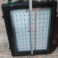 چراغ برای  رشد کاکتوس