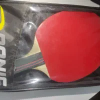 دسته ی پینگ پنگ دونیک|ورزش‌های توپی|شیراز, کوی قضات|دیوار