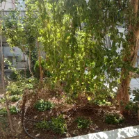 خانه ویلایی کلنگی ۲۰۰ متر|فروش خانه و ویلا|قم, نیروگاه|دیوار