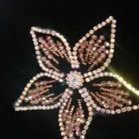 جواهر دوزی|لباس|لردگان, |دیوار