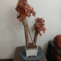 دو عدد گلدان مصنوعی بلند پاییزی و تابستانی