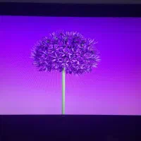 مانیتور|تلویزیون و پروژکتور|رشت, کوی مهر|دیوار