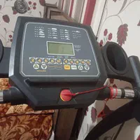 تردمیل درحد نو. خیلی کم استفاده شده.|تجهیزات ورزشی|بیرجند, |دیوار