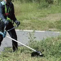 علف تراشی تخصصی باغ و حیاط منزل|خدمات باغبانی و درختکاری|لاهیجان, قیام|دیوار