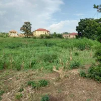 ویلا باغ،زمین کشاورزی و باغ انار