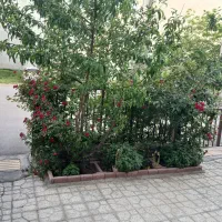فروش-خانه-شیروانی-600دستگاه