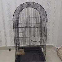 قفس