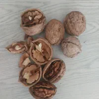 گردو امسالی