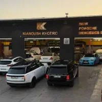 صافکار و نقاش ماهر