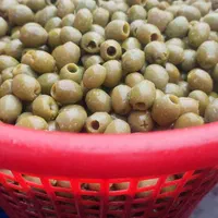 زیتون بدون هسته با کیفیت بینطیر|خوردنی و آشامیدنی|رودبار, |دیوار