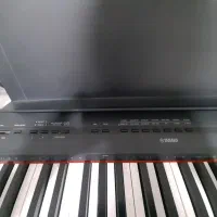 piano p115B نو|پیانو، کیبورد، آکاردئون|بوشهر, |دیوار