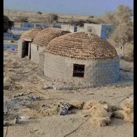ساخت آلاچیق سنتی|کوهنوردی و کمپینگ|کهنوج, |دیوار
