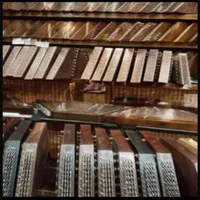 سنتور همایون ۶ مهر گردو خشک