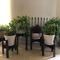 استند گل و گلدان مدل خرچنگی|گل و گیاه طبیعی|تهران, مشیریه|دیوار