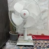 پنکه فروشی فروشی نیست عکس بعدی