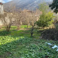 زمین مسکونی 500 متر|فروش زمین و ملک کلنگی|علیآباد کتول, |دیوار