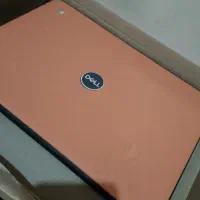 2 عدد لب تاب دل