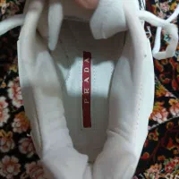 کفش PRADA|کیف، کفش، کمربند|کرمان, |دیوار