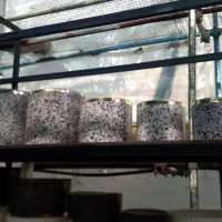 حراج گلدان سرامیک وسفال به علت جابجایی