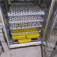 دستگاه جوجه کشی ۳۳۰تایی