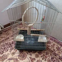 قفس پرنده طوطی