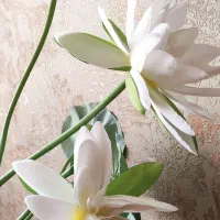 گلدان با گل هاش|گل مصنوعی|تبریز, |دیوار