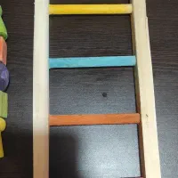 وسایل قفس پرنده(پله و اویز بازی)|لوازم جانبی حیوانات|شاهین‌شهر, شهرک ردانی پور|دیوار