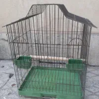 قفس