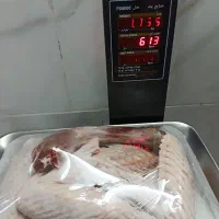 گوشت بوقلمون تازه