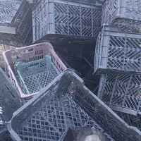 سبد پلاستیکی