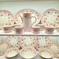 سرویس چینی ساخت چین کاملا نو