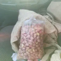 باغ پسته بارده حبیب آباد|فروش خانه و ویلا|حبیب آباد, |دیوار