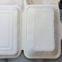 ظرف یکبار مصرف
