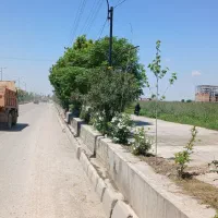 تجاری-کمربندی-کوهساری