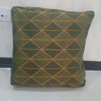 کاور پشتی نونو