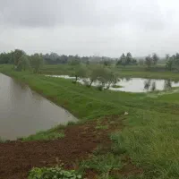 ۳۰ هکتار استخر ماهی کنار جاده ماسوله فروش متری ۷۵۰|فروش دفتر صنعتی، کشاورزی، تجاری|دماوند, دماوند|دیوار