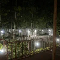 نیروی کار مرغداری گوشتی