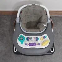 روروئک و واکر (3 کاره )