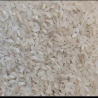 برنج کامفیروزی اصل حیدری درجه یک به شرط...|عمدهفروشی|کامفیروز, |دیوار