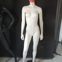 مانکن پاپتی زنانه دو عدد|فروشگاه و مغازه|پاکدشت, پاکدشت (مامازند)|دیوار