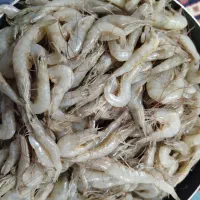 میگو|خوردنی و آشامیدنی|سعدآباد, |دیوار