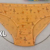 لباس زیر های زیبا باقیمت مناسب|لباس|زنجان, |دیوار